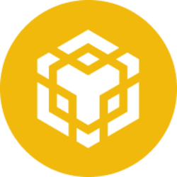 币安币/BNB