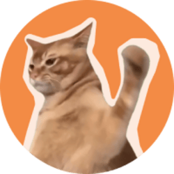 CatSlap