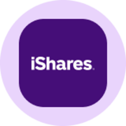 iShares Core S&P Total US Stock Market ETF (Ondo Tokenized ETF)