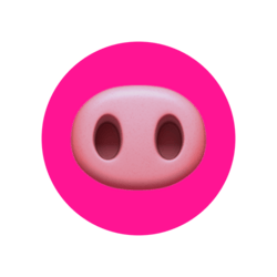 Piggy