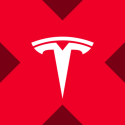 Tesla xStock